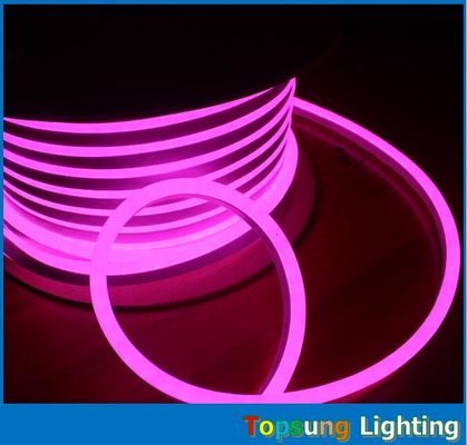 دکوراسیون مهمانی در فضای باز 110V مینی LED چراغ های طناب فلکس نیون