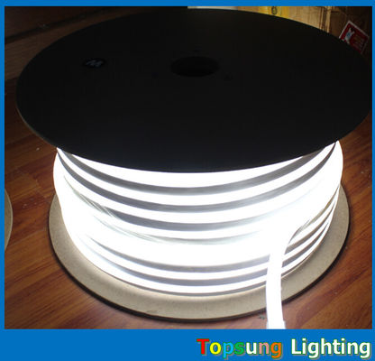 رنگ های مختلف 10 * 18mm اندازه نور نئون LED با ولتاژ 110/220/24