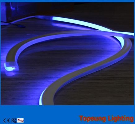 24v رنگ آبی تزئینات مربع LED چراغ های نیون انعطاف پذیر لوله های PVC برای باغ