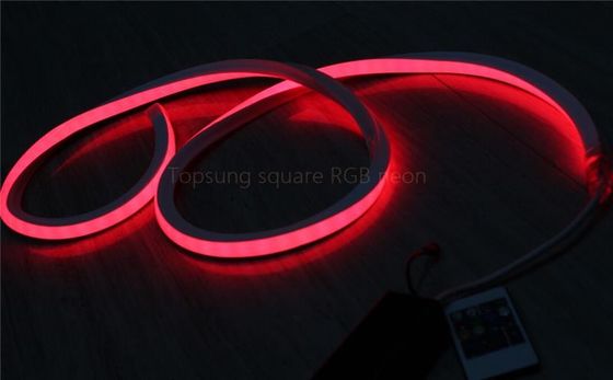 فروش داغ قرمز مربع 24v 16*16m LED نور نیون انعطاف پذیر برای تزئین