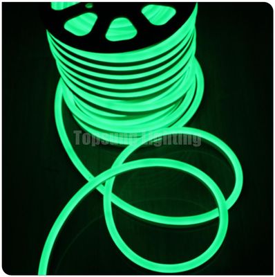 SMD 2835 نور نئون LED 12V طناب انعطاف پذیر در فضای باز ضد آب LED نور نوار نئون رنگ سبز