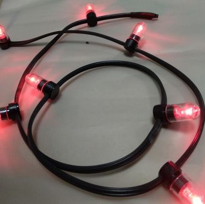 ولتاژ کم برق LED رشته ای چراغ های رنگ صورتی کریسمس LED 100m رشته 666LED