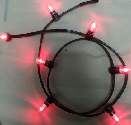 12 ولت برق کم چراغ کلیپ LED 100 متر / رول چراغ های کریسمس LED رشته چراغ های قرمز برنج رشته 666 لامپ
